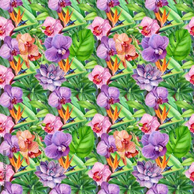 Papier peint  seamless patterns of tropical flowers orchids, strelitzia and green leaves, monstera on an isolated white background, watercolor illustration, flora design