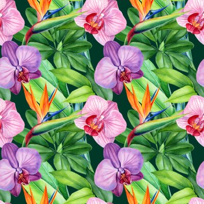 Papier peint  seamless patterns of tropical flowers orchids, strelitzia and green leaves, monstera, watercolor illustration, flora design