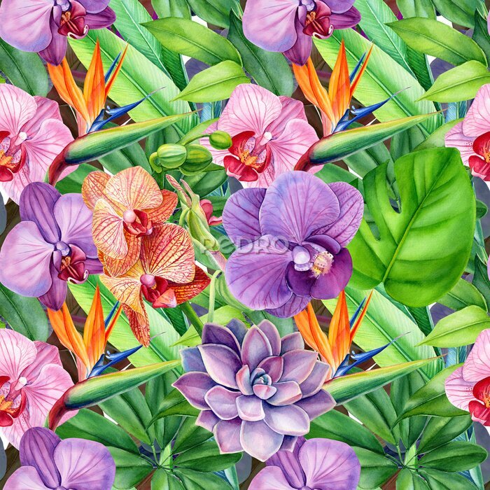 Papier peint  seamless patterns of tropical flowers orchids, strelitzia and green leaves, monstera, watercolor illustration, flora design