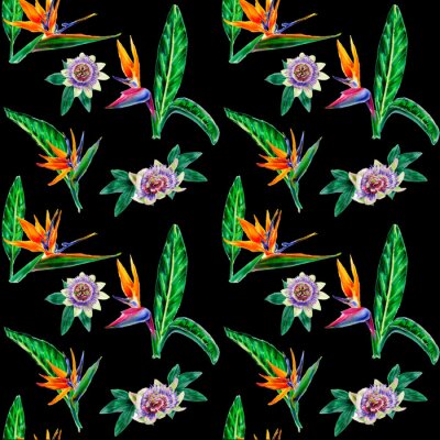 Papier peint  Seamless patterns with watercolor strelitzia and Passiflora caerulea flowers and exotic leaves on a black background for textile wallpaper and gift wrapping.