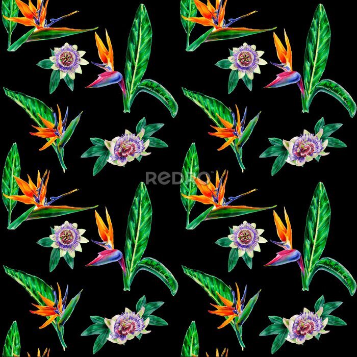 Papier peint  Seamless patterns with watercolor strelitzia and Passiflora caerulea flowers and exotic leaves on a black background for textile wallpaper and gift wrapping.