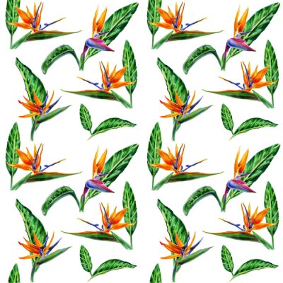 Papier peint  Seamless patterns with watercolor strelitzia flowers and exotic leaves for textile wallpaper decor and gift wrapping.