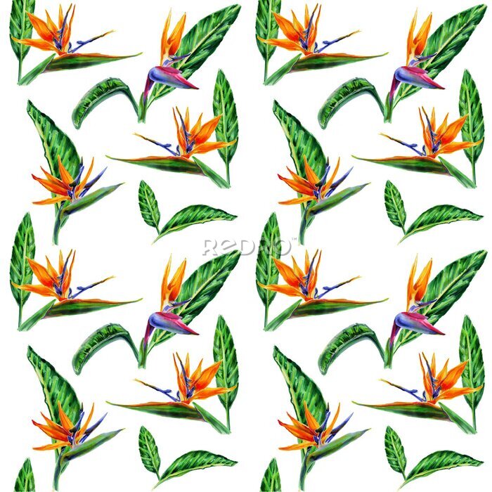 Papier peint  Seamless patterns with watercolor strelitzia flowers and exotic leaves for textile wallpaper decor and gift wrapping.