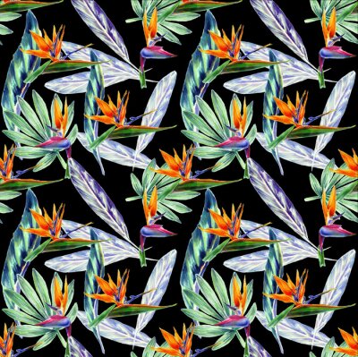 Papier peint  Seamless patterns with watercolor strelitzia flowers and exotic leaves on a black background for the decoration of textile wallpaper and gift packaging.