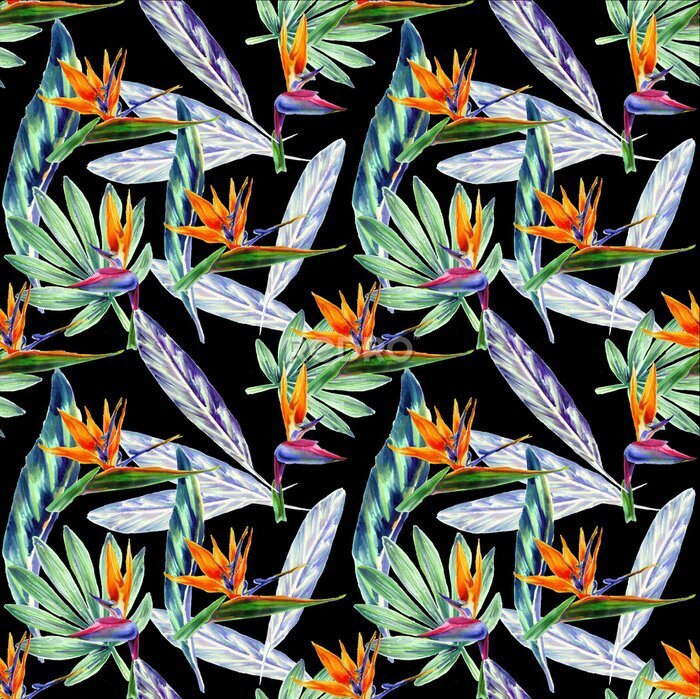 Papier peint  Seamless patterns with watercolor strelitzia flowers and exotic leaves on a black background for the decoration of textile wallpaper and gift packaging.