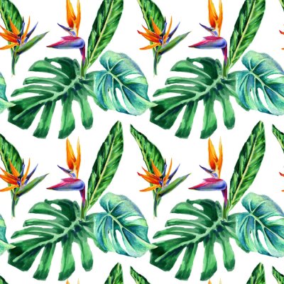 Papier peint  Seamless patterns with watercolor strelitzia flowers and exotic monstera leaves on a white background for textile wallpaper and gift wrapping.