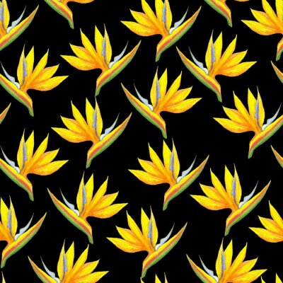 Papier peint  Seamless strelitzia flower pattern. Strelitzia, bird of paradise, or crane lily. Design for textile, wallpapers, greeting cards, decoration. Isolated on black background.