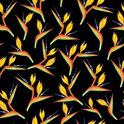 Papier peint  Seamless strelitzia flower pattern. Strelitzia, bird of paradise, or crane lily. Design for textile, wallpapers, greeting cards, decoration. Isolated on black background.