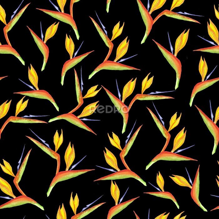 Papier peint  Seamless strelitzia flower pattern. Strelitzia, bird of paradise, or crane lily. Design for textile, wallpapers, greeting cards, decoration. Isolated on black background.