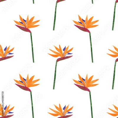 Papier peint  Seamless strelitzia flowers pattern. Vector tropic background.
