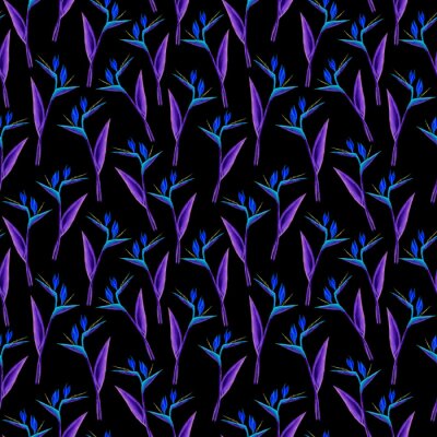 Papier peint  Seamless strelitzia pattern. Strelitzia, bird of paradise, or crane lily. Design for textile, wallpapers, greeting cards.