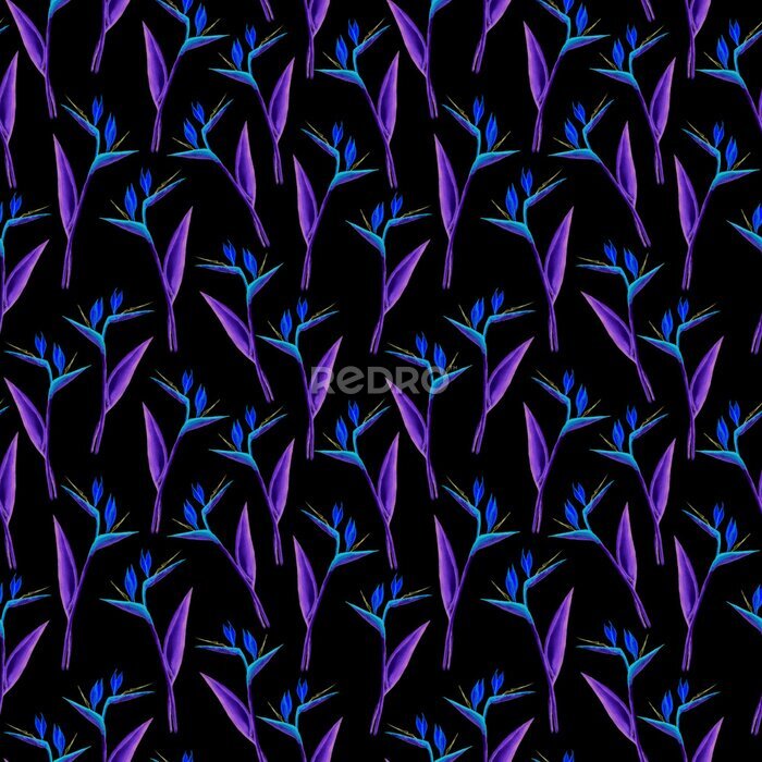 Papier peint  Seamless strelitzia pattern. Strelitzia, bird of paradise, or crane lily. Design for textile, wallpapers, greeting cards.