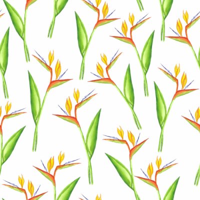 Papier peint  Seamless strelitzia pattern. Strelitzia, bird of paradise, or crane lily. Design for textile, wallpapers, greeting cards, decoration.