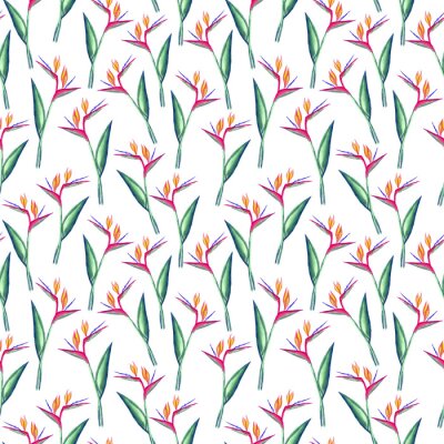 Papier peint  Seamless strelitzia pattern. Strelitzia, bird of paradise, or crane lily. Design for textile, wallpapers, greeting cards, decoration.