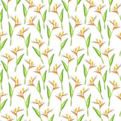 Papier peint  Seamless strelitzia pattern. Strelitzia, bird of paradise, or crane lily. Design for textile, wallpapers, greeting cards, decoration.