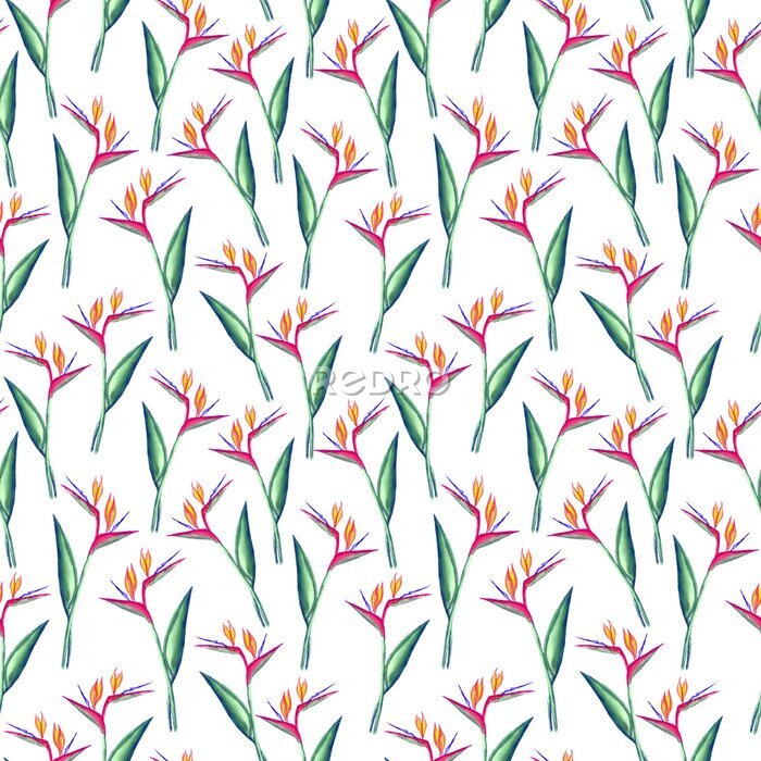 Papier peint  Seamless strelitzia pattern. Strelitzia, bird of paradise, or crane lily. Design for textile, wallpapers, greeting cards, decoration.