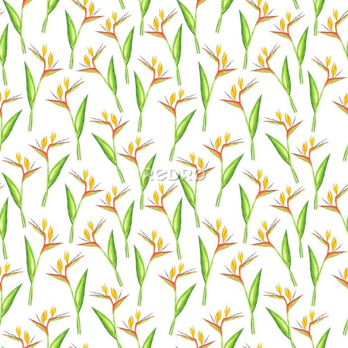 Papier peint  Seamless strelitzia pattern. Strelitzia, bird of paradise, or crane lily. Design for textile, wallpapers, greeting cards, decoration.