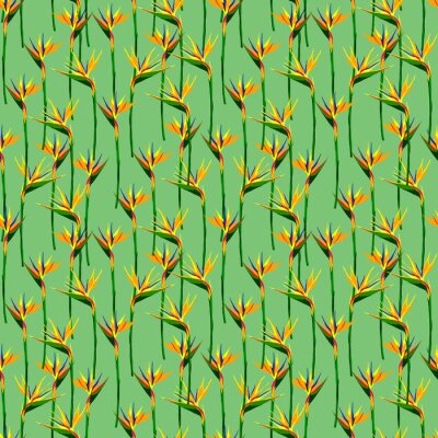 Papier peint  Seamless summer pattern with strelitzia flowers