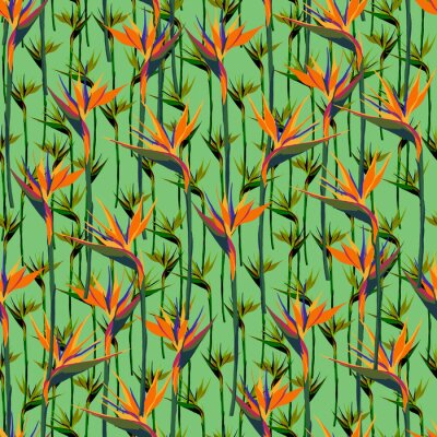 Papier peint  Seamless summer pattern with strelitzia flowers