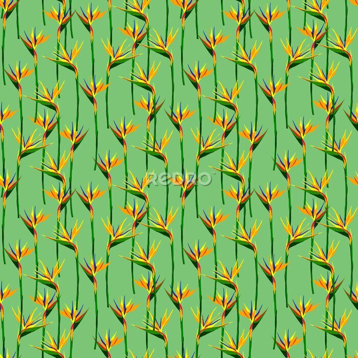 Papier peint  Seamless summer pattern with strelitzia flowers