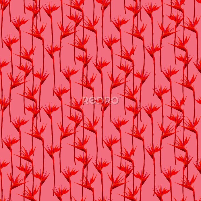 Papier peint  Seamless summer pattern with strelitzia flowers