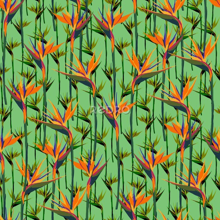 Papier peint  Seamless summer pattern with strelitzia flowers