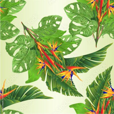 Papier peint  Seamless texture beautiful Strelitzia reginae tropical flowers and banana leaves and monstera on white background vintage vector illustration editable hand draw