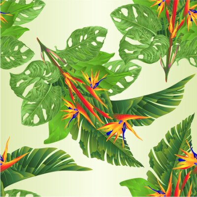 Papier peint  Seamless texture beautiful Strelitzia reginae tropical flowers and banana leaves and monstera on white background vintage vector illustration editable hand draw