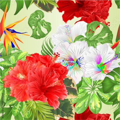 Papier peint  Seamless texture bouquet with tropical flowers floral arrangement, with beautiful pink red multicolored hibiscus and Strelitzia Schefflera ,philodendron and ficus natural background vintage vector