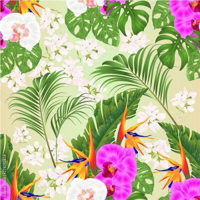 Papier peint  Seamless texture Bouquet with tropical flowers   Strelitzia reginae white and purple  orchids Phalaenopsis palm monstera leaf banana  vintage vector illustration editable hand draw 