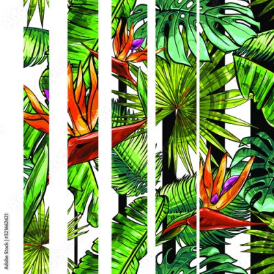 Papier peint  Seamless texture on the theme of the tropics, jungle from palm leaves, monstera, banana leaves, strelitzia and heliconia flowers. Template for printing, fabrics, packaging.
