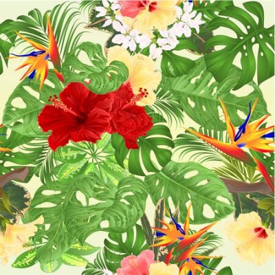 Papier peint  Seamless texture Tropical  background  with tropical flowers pink and yellow hibiscus and Strelitzia  and Sansevieria palm,philodendron and ficus vintage vector illustration