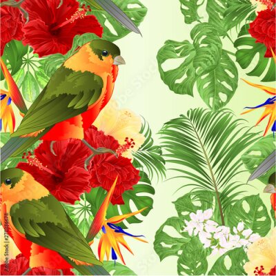 Papier peint  Seamless texture tropical bird cute small  funny  bird and red hibiscus and Strelitzia reginae monstera palm watercolor style on a white background vintage vector illustration editable hand draw