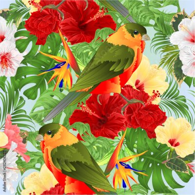 Papier peint  Seamless texture   tropical bird cute small  funny  bird and various  hibiscus and Strelitzia reginae monstera palm watercolor style  vintage vector illustration hand draw editable