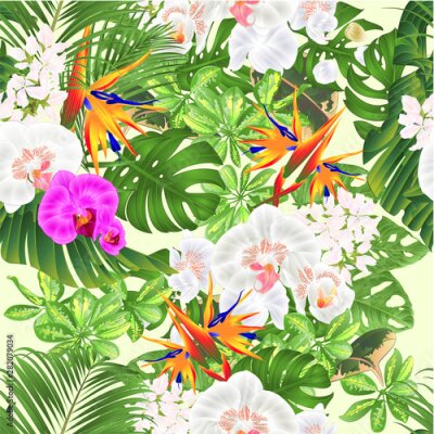 Papier peint  Seamless texture tropical flowers bouquet with    Strelitzia reginae white and purple  orchid Phalaenopsis palm monstera leaf banana  vintage vector illustration edizable hand draw