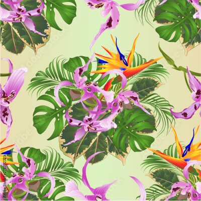 Papier peint  Seamless texture tropical flowers  floral arrangement with beautiful  Orchid Dendrobium  and Strelitzia palm,philodendron and ficus vintage vector illustration  editable hand draw