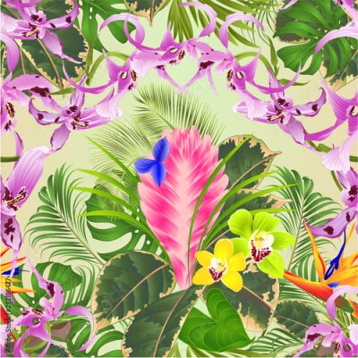 Papier peint  Seamless texture tropical flowers  floral arrangement with beautiful  Orchids Dendrobium tillandsia cyanea  cymbidium and Strelitzia palm,philodendron and ficus vintage vector illustration