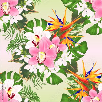 Papier peint  Seamless texture tropical flowers  floral arrangement with beautiful Strelitzia  and white and pink orchids Cymbidium  palm,philodendron and ficus vintage vector illustration  editable hand draw