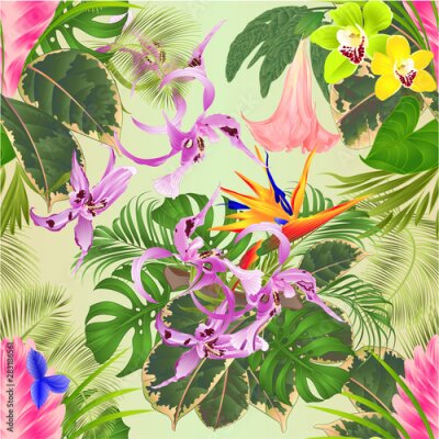 Papier peint  Seamless texture tropical flowers  floral arrangement, with  tillandsia cyanea  and orchids cymbidium Dendrobium Strelitzia palm,philodendron  vintage vector illustration  editable hand draw