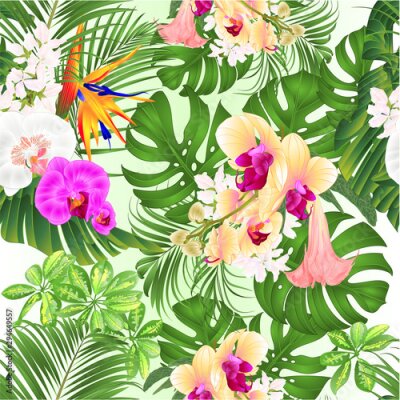 Papier peint  Seamless texture tropical flowers  with  Brugmansia  Strelitzia reginae yellow white and purple  orchid Phalaenopsis palm monstera leaf banana  vintage vector illustration editable hand draw 