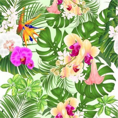 Papier peint  Seamless texture tropical flowers  with  Brugmansia  Strelitzia reginae yellow white and purple  orchid Phalaenopsis palm monstera leaf banana  vintage vector illustration editable hand draw
