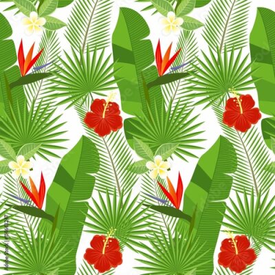 Papier peint  Seamless, tropical, feuilles, fleurs, paume, monstera, hibiscus, plumeria, strelitzia, reginae