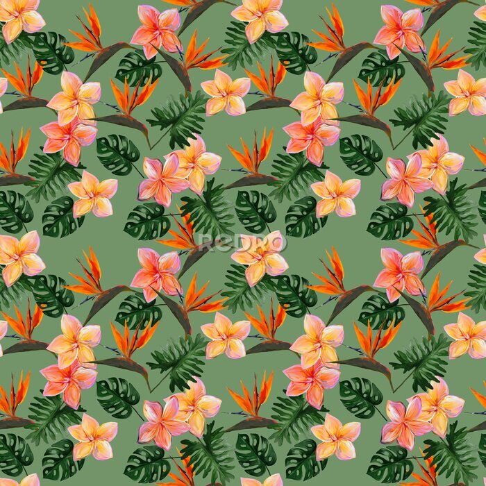 Papier peint  Seamless tropical pattern with plumeria and strelitzia with leaves on pistachio background. Seamless pattern with colorful leaves of colocasia, filodendron, monstera. Exotic wallpaper. Hawaiian style