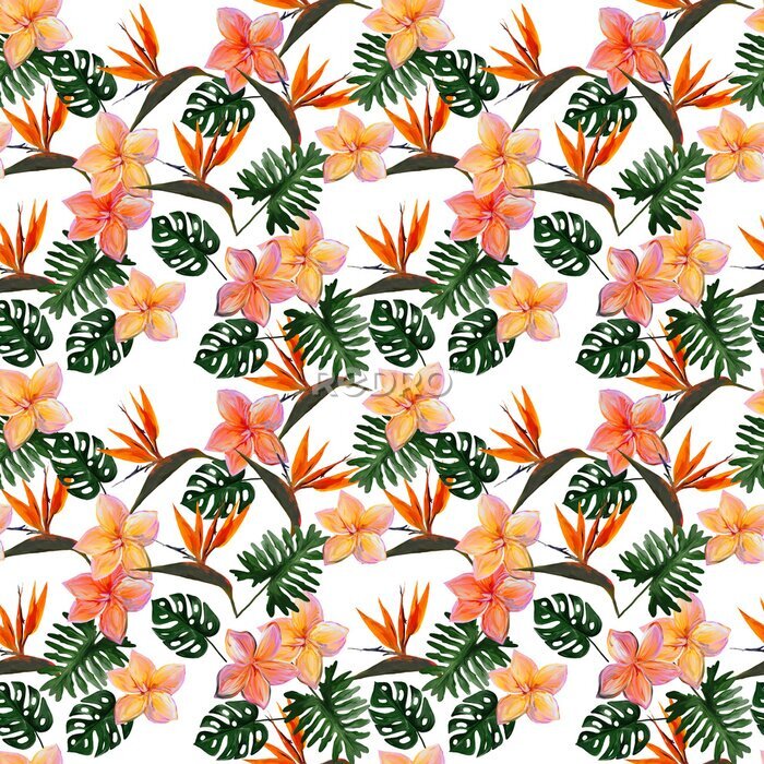 Papier peint  Seamless tropical pattern with plumeria and strelitzia with leaves on white background. Seamless pattern with colorful leaves of colocasia, filodendron, monstera. Exotic wallpaper. Hawaiian style