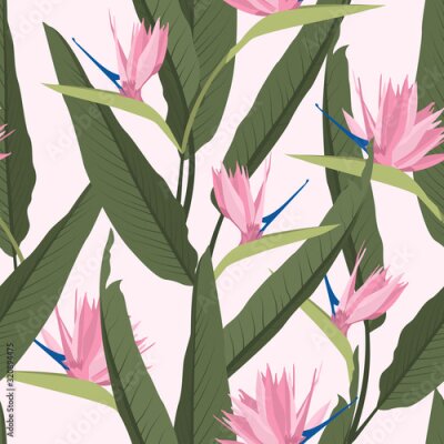 Papier peint  Seamless tropical pattern with strelitzia.