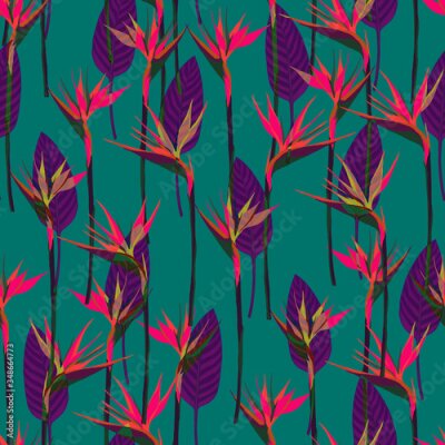 Papier peint  Seamless tropical pattern with strelitzia and leaves, hand drawn illustration