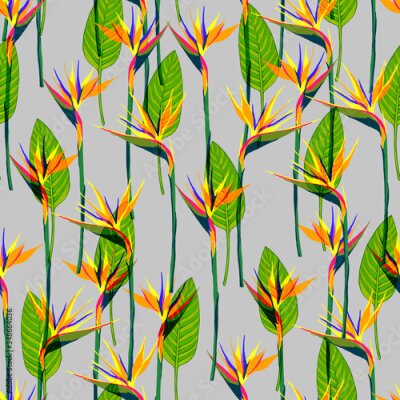 Papier peint  Seamless tropical pattern with strelitzia and leaves, hand drawn illustration