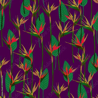 Papier peint  Seamless tropical pattern with strelitzia and leaves, hand drawn illustration