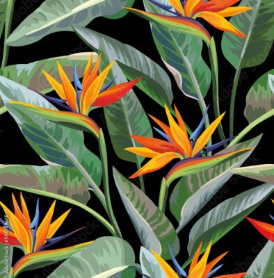 Papier peint  Seamless tropical pattern with strelitzia. Floral summer design on a black background. Vector illustration.