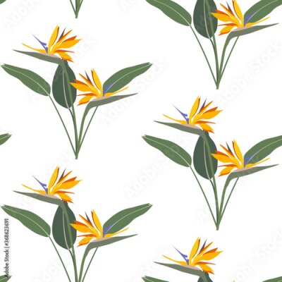 Papier peint  Seamless tropical pattern with strelitzia on a white background. Vector illustration.
